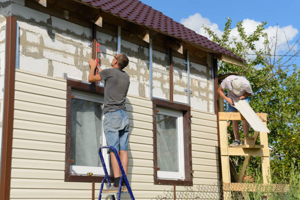 Best Steel Siding Installation  in Basye, VA