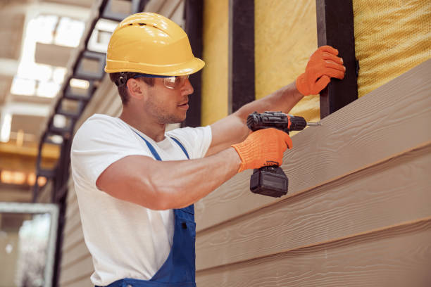 Affordable Siding Repair and Maintenance Services in Basye, VA